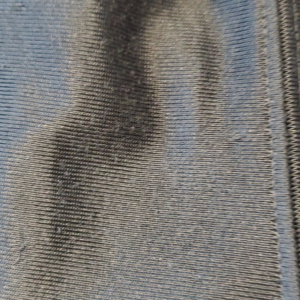 Silver Shorts - Picture 5 of 7